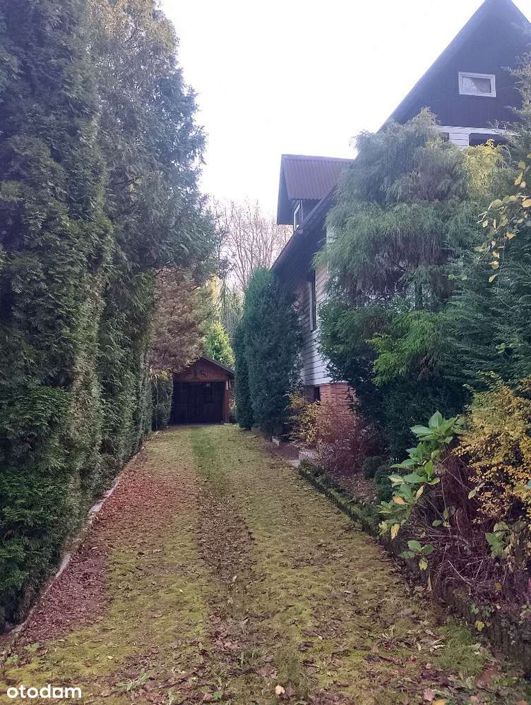 Dom całoroczny w Żywcu. - Pełny obrazek: 5/20