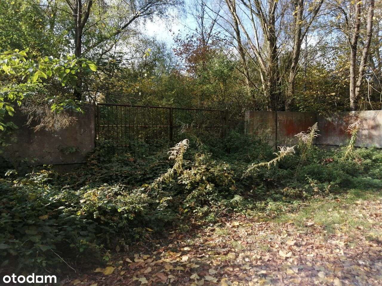 Puszczykowo, przy Warcie-2