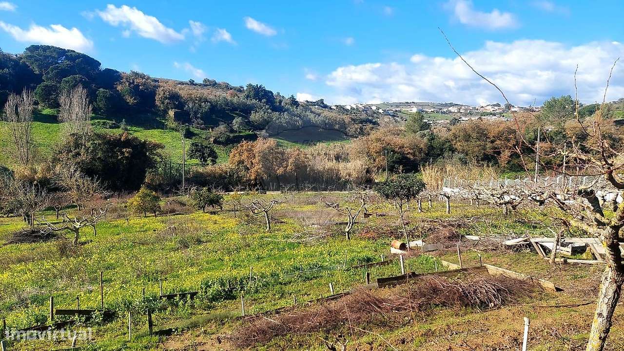 Terreno  para venda-13