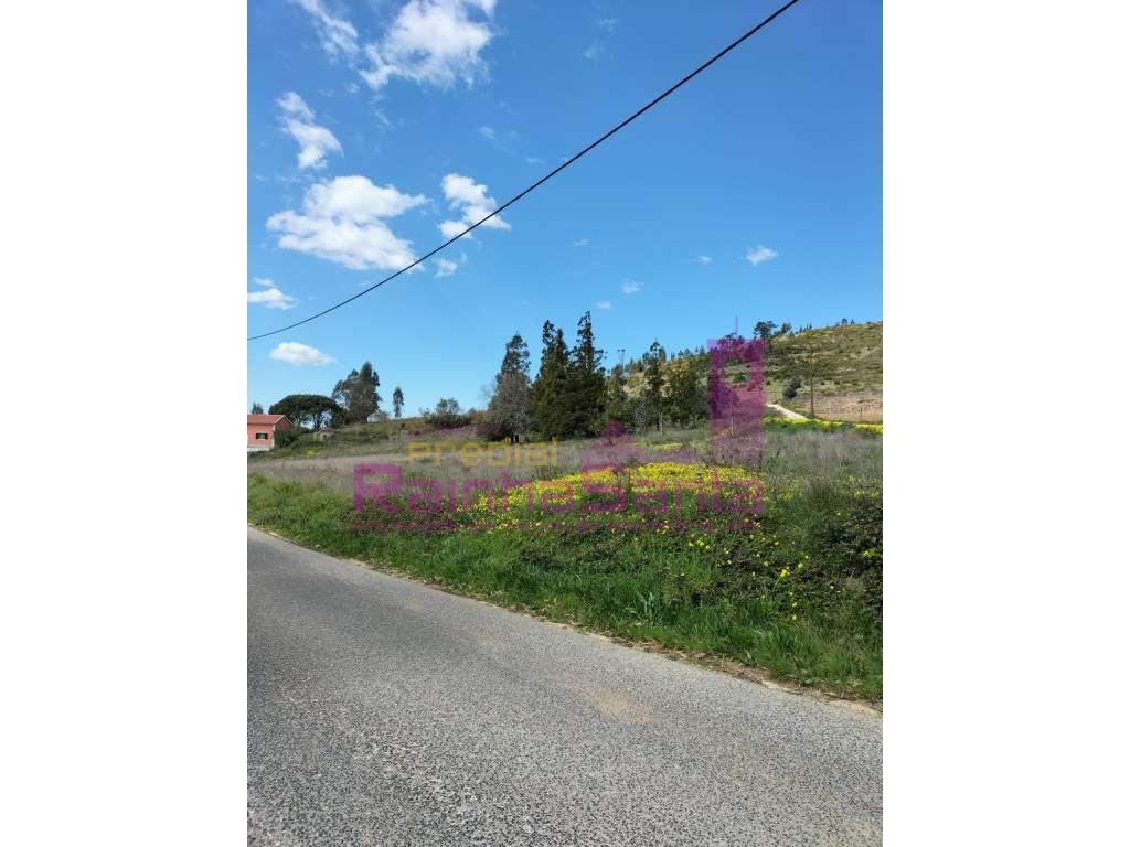 Terreno -Empreendimento Turístico - Praia de Santa Cruz - Grande imagem: 3/5