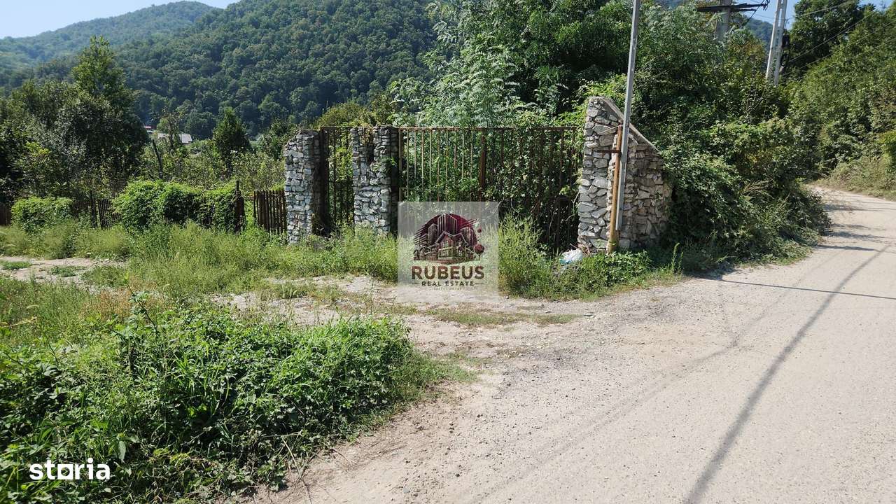 Teren intravilan 2.580 mp Eșelnița, acces DN57, ideal turism, locuinte-14