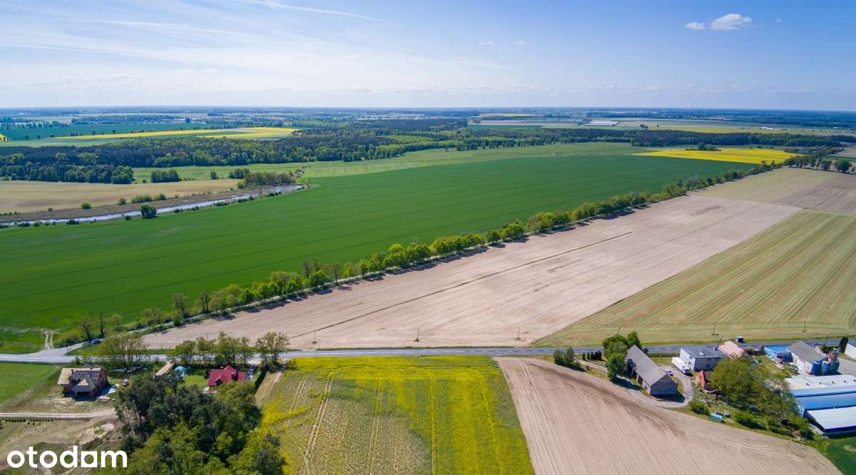 DZIAŁKI BUDOWLANE NA SPRZEDAŻ - BLISKO MOSINY 120 zł/mkw!-7
