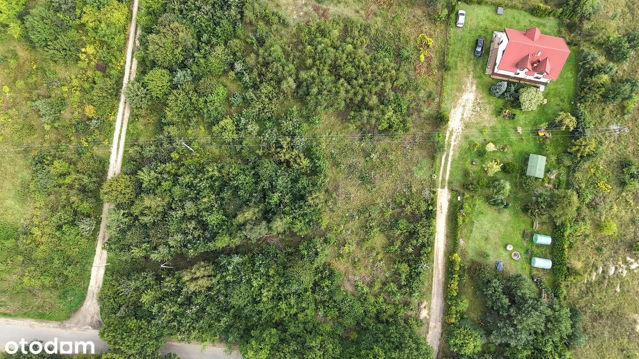 PKM 600 m|Las|Blisko S7 i Obwodnicy |Możliwość zakupu 3 działek-7