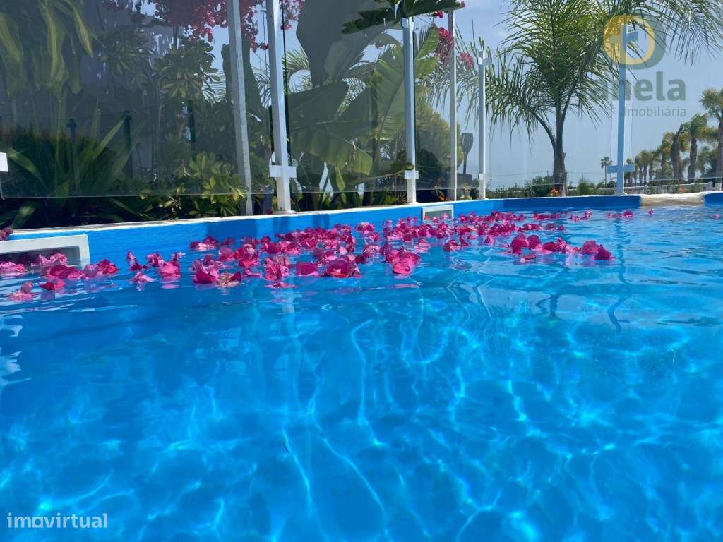 Herdade com 4,8 hectares, picadeiros, paddock CAVALOS e moradia ide... - Grande imagem: 4/33