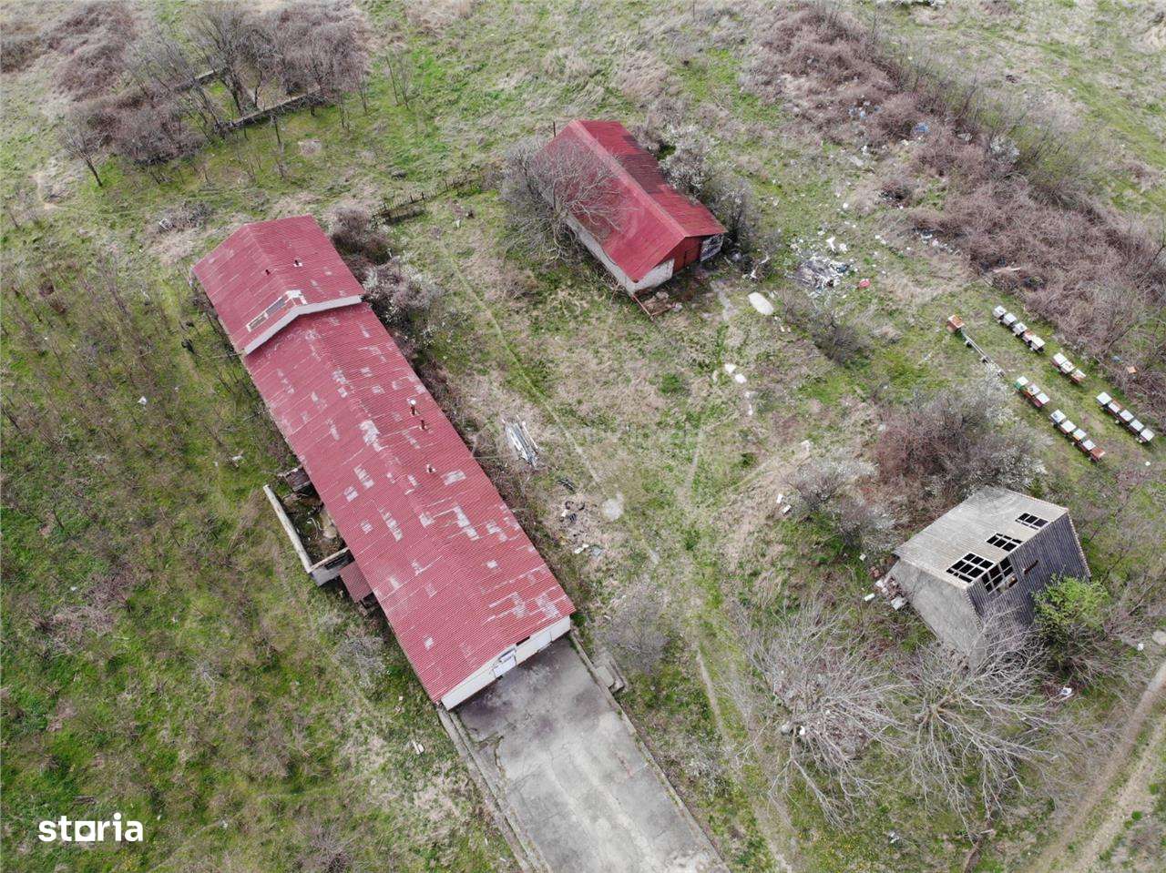 Moldova Noua, Proprietate cu Destinatie Multipla: Hala ProductieProces - Imagine principală: 3/19