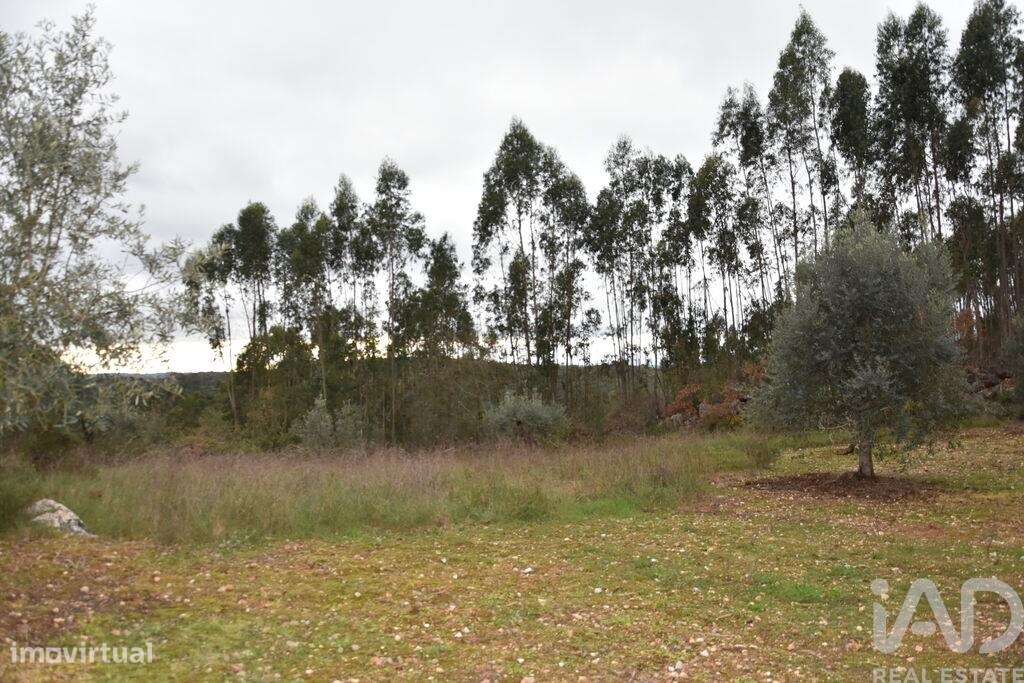 Terreno em Chãos de 2120,00 m2 - Grande imagem: 4/26