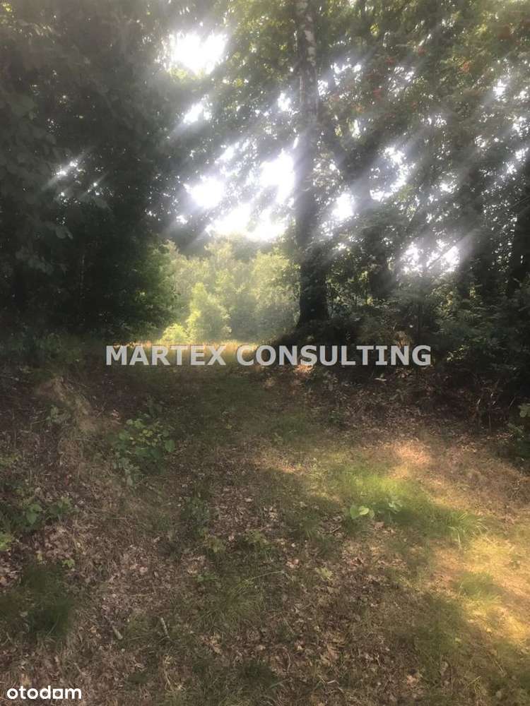 Działka, 9 072 m², Połomia - Pełny obrazek: 5/7