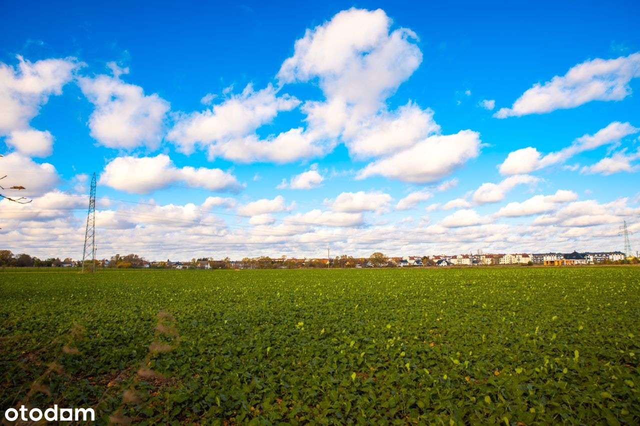 Zalasewo, ulica Spacerowa Nowy podział-13