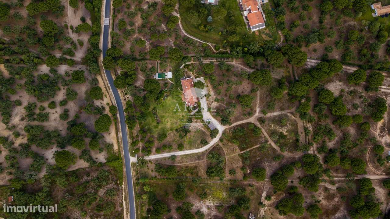 Quinta em Santo Estevão – Charme Alentejano com Piscina e Amplo Terren - Grande imagem: 3/60