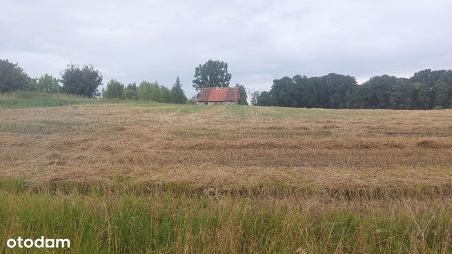 Działka z zabudową w okolicy Kętrzyna-0