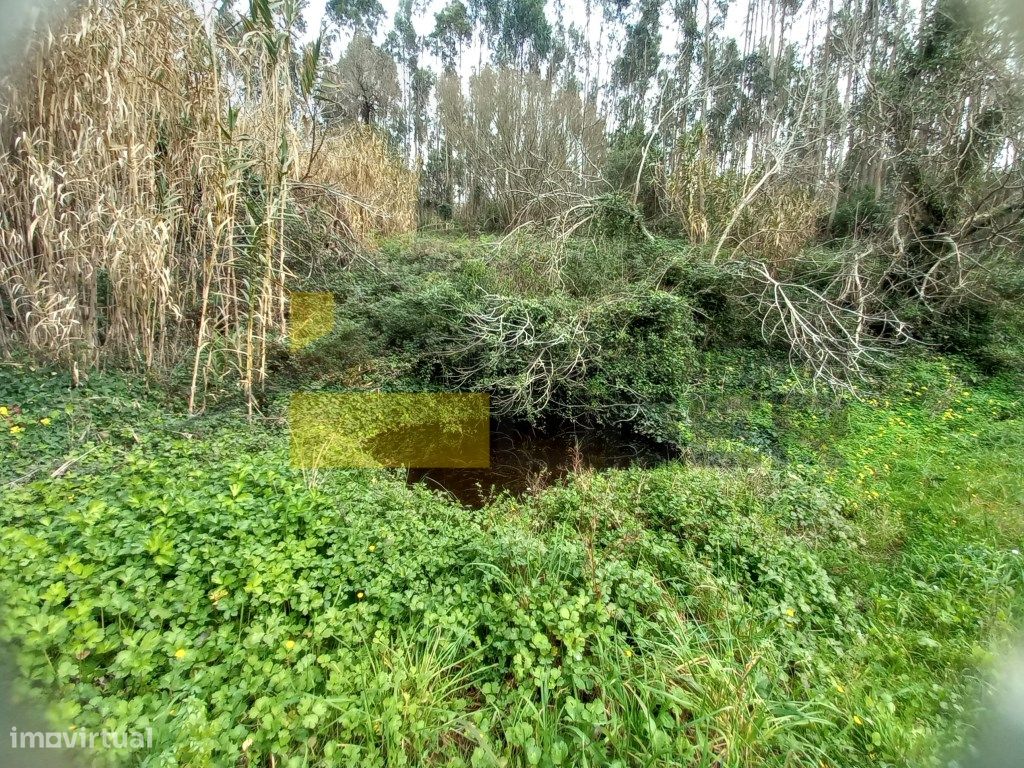 Oferecemos a escritura - Terreno Rústico 36.977m2 na Barr...