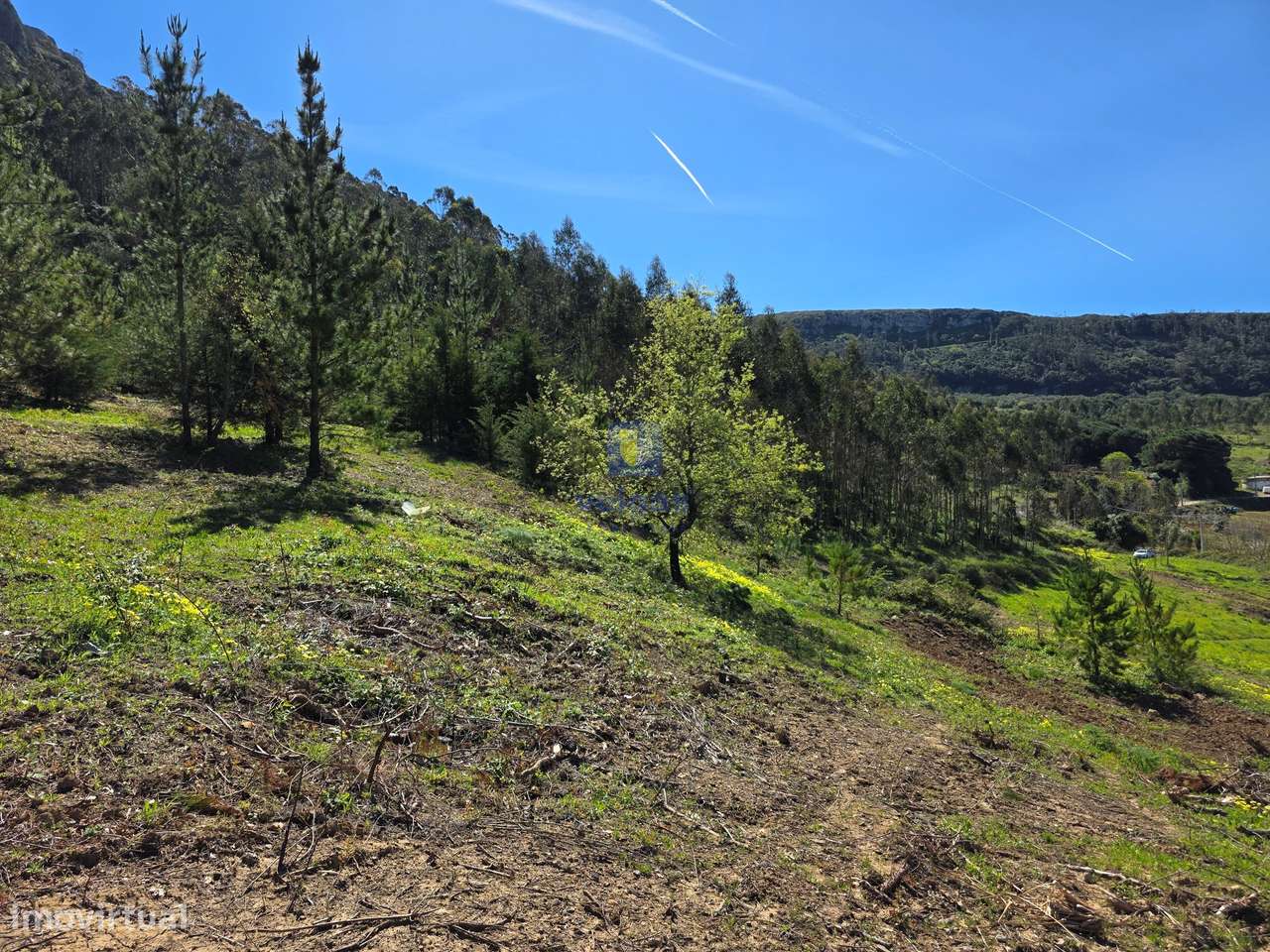 Terreno com 5.200m2, com viabilidade para construir 1 ou 2 casas até 3-9