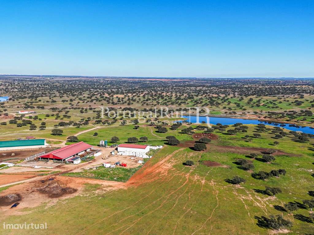 Herdade com 844 hectares - Ganadaria para Engorda de Animais e Prad... - Grande imagem: 5/49