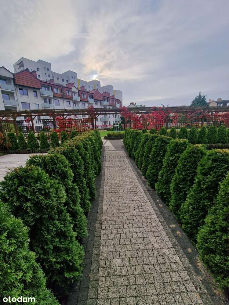 2 pokojowe mieszkanie z balkonem w nowym budynku przy parku Zdrojowym-10