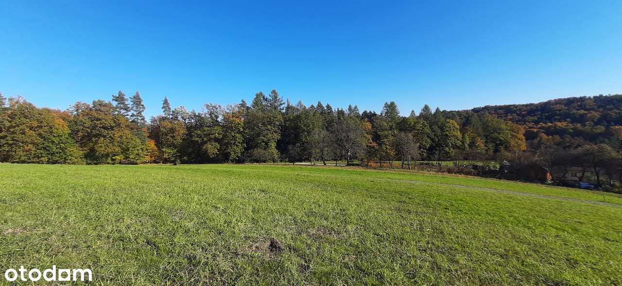 Działka w Izdebniku, dojazd, słońce-5