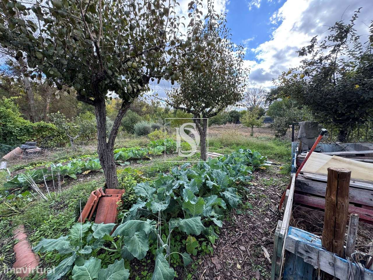 Quintinha em Tramaga-25