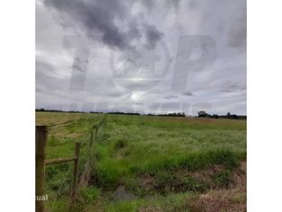 Terreno Agrícola - Foros da Charneca - 50.000€ - Grande imagem: 4/16