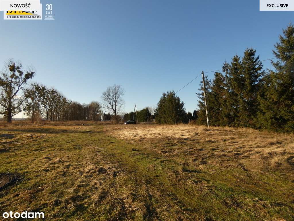 Duża działka komercyjna w  pobliżu Goleniowa - Pełny obrazek: 4/13
