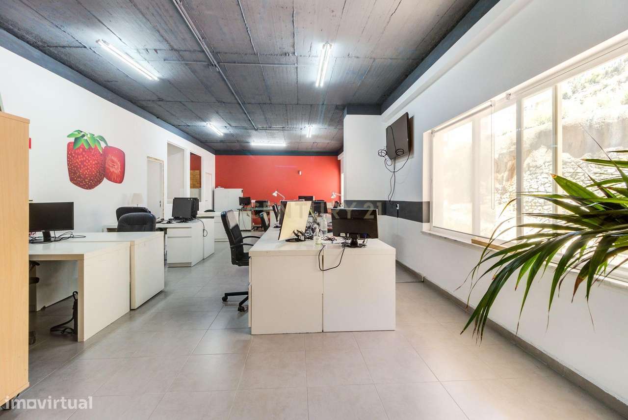 Excelente escritório renovado recentemente a 15 minutos de Lisboa. - Grande imagem: 3/17