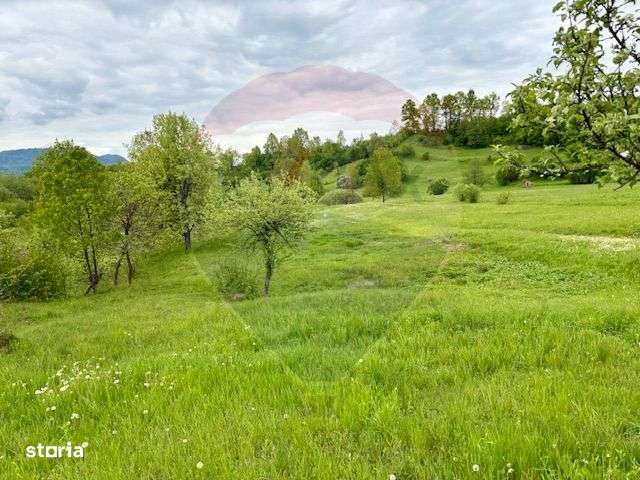 Teren 20,876mp Breb / Drumul Principal - Imagine principală: 2/8