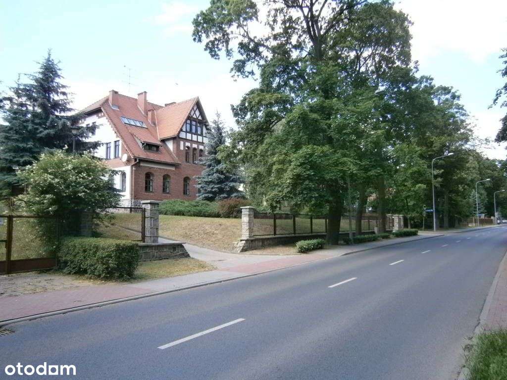 Lokal użytkowy, 1 102 m², Mogilno-0