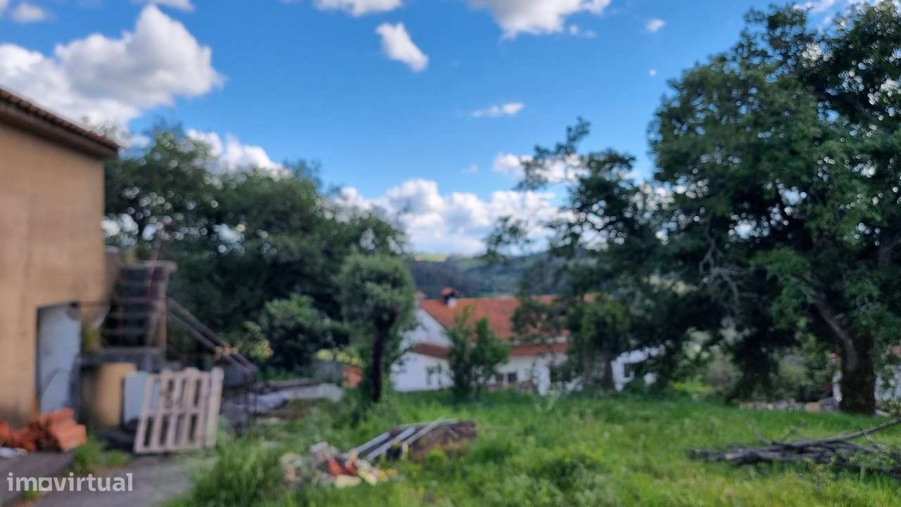 2 Moradias para remodelar com logradouro - Carvalhal Benfeito-8