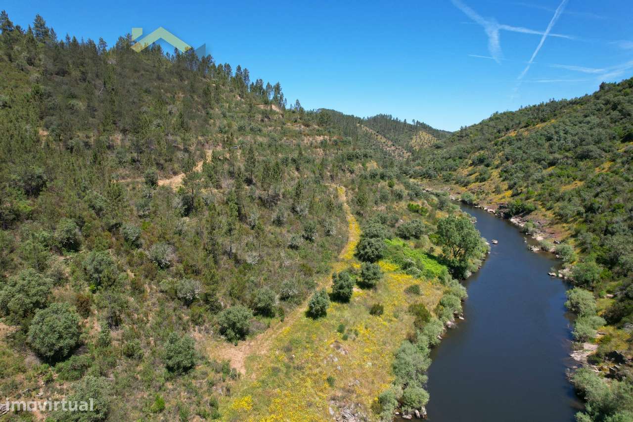 Terreno Rústico  Venda em Sarzedas,Castelo Branco - Grande imagem: 3/14