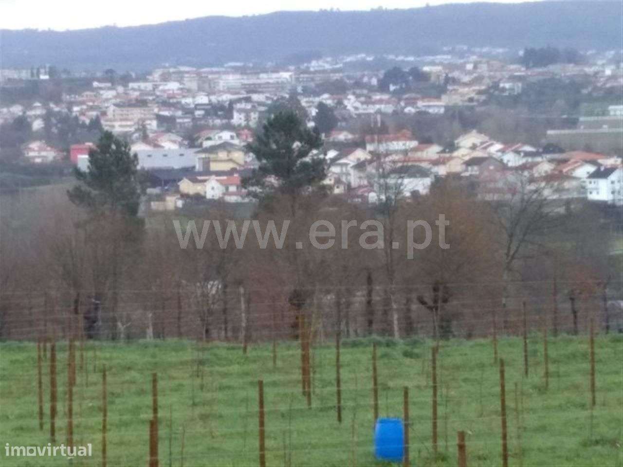Terreno rústico em Golães - Grande imagem: 5/7