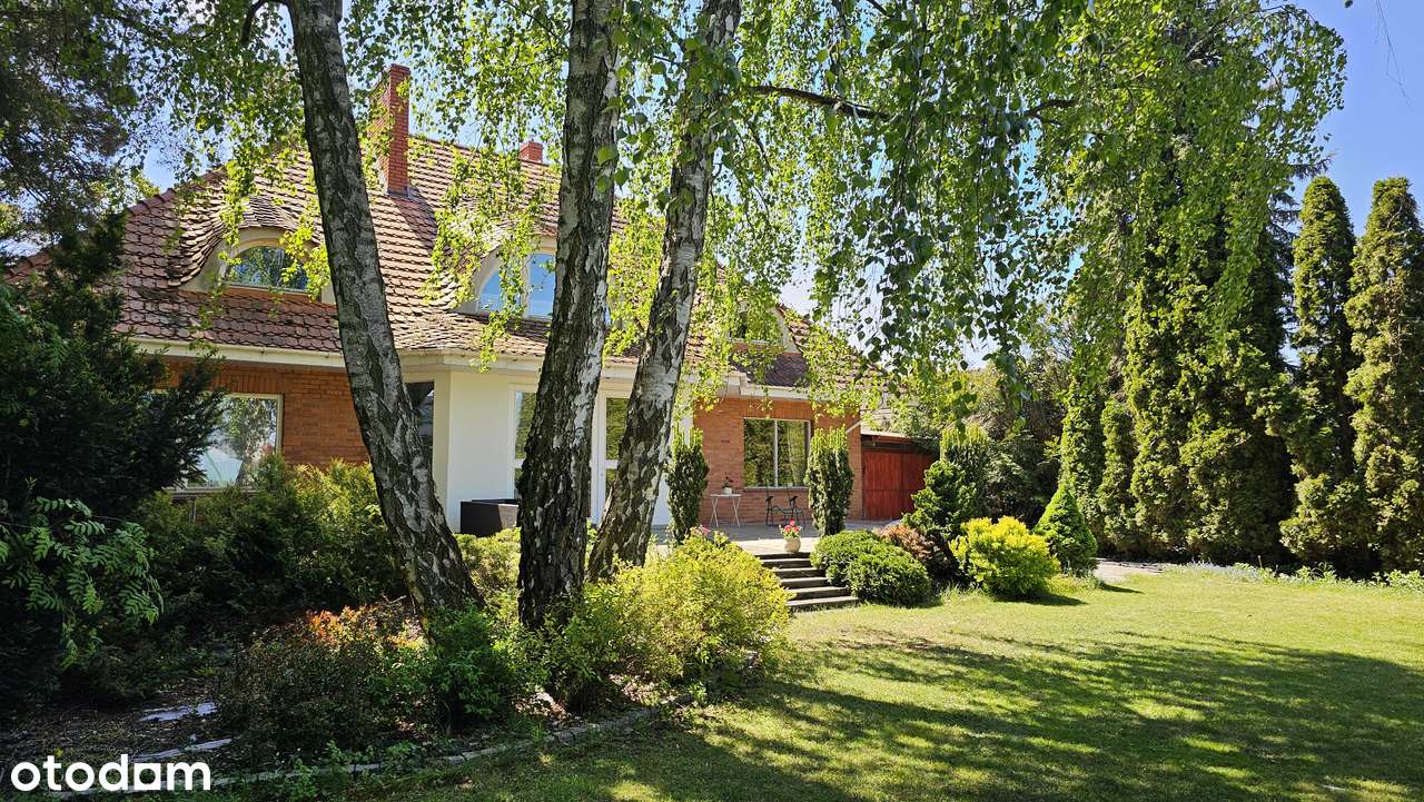 Dom w mieście, obok lasu - Pełny obrazek: 4/18