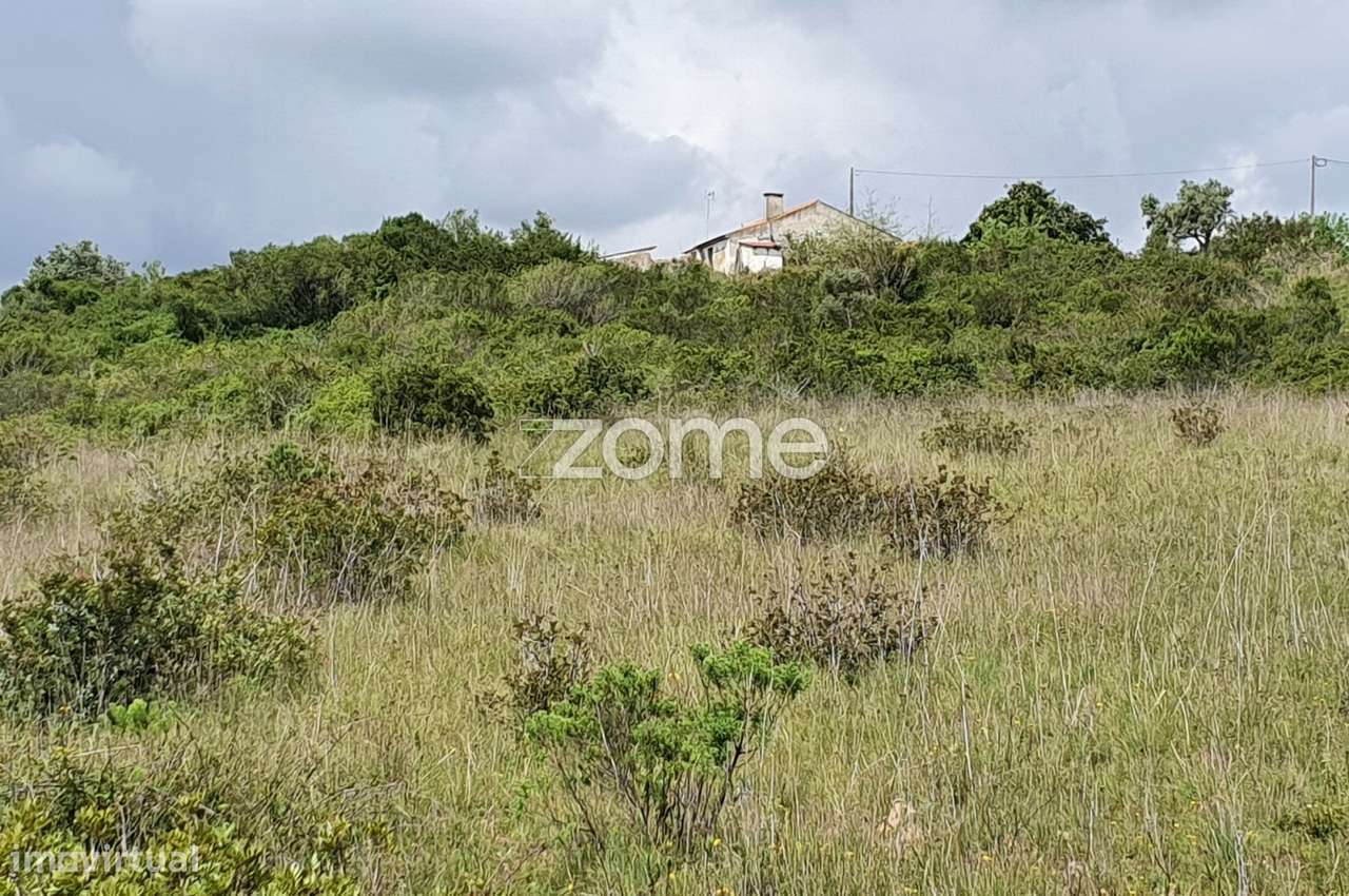 Terreno Rústico 6.840m2 Azambujeira Rio Maior Santarém - Grande imagem: 2/15