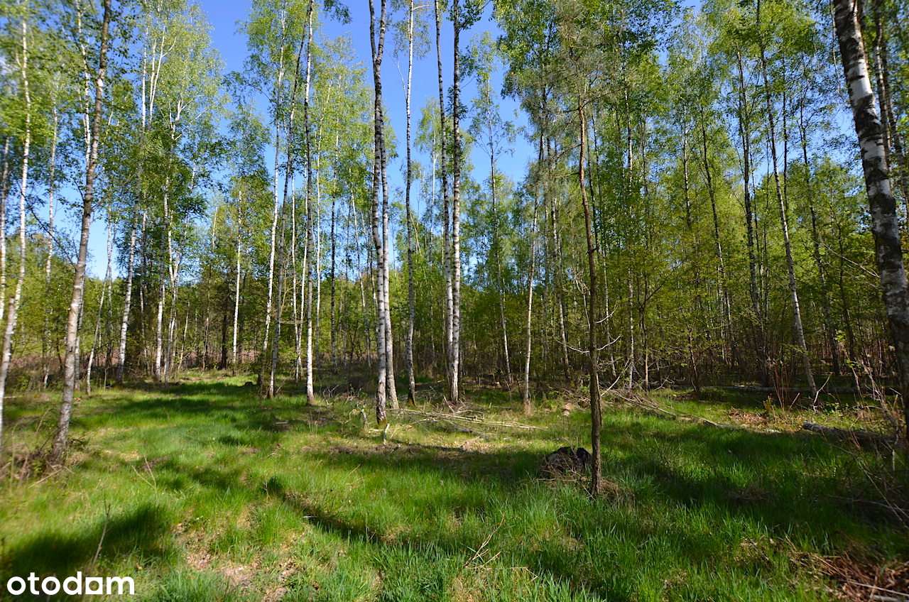 Działka budowlana 2000 m2 / Adamów-Parcel-0