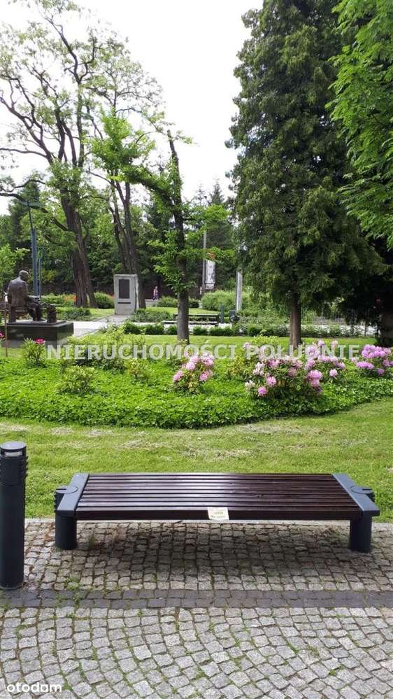 Obiekt handlowo usługowy w Ustroniu - Pełny obrazek: 4/20