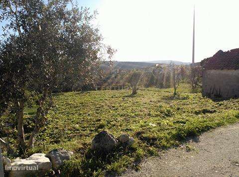 Vista para a Serra d'Aire e Candeeiros. - Grande imagem: 4/6