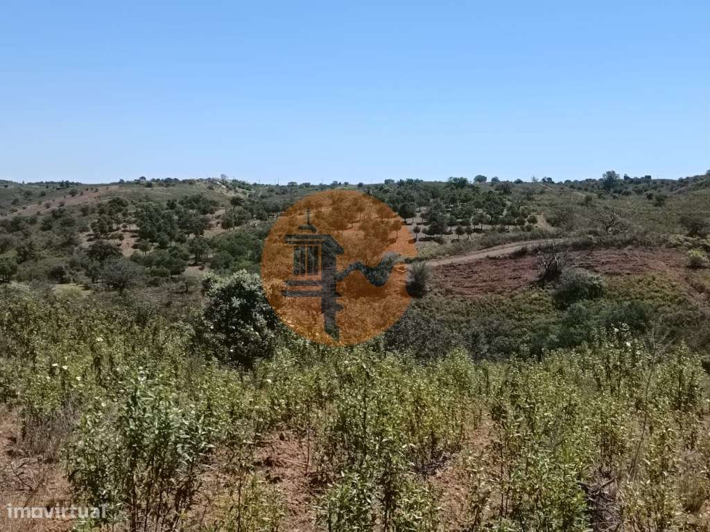 TERRENO COM 34.700 M2 - POSSIBILIDADES DE CONSTRUIR UM ARMAZEM - PR...-30