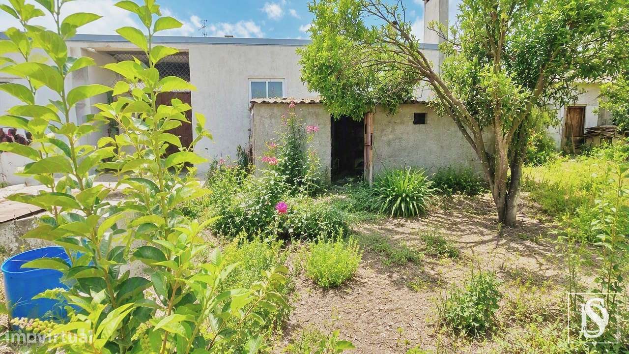 Apartamento T3 Venda em Paião,Figueira da Foz-44