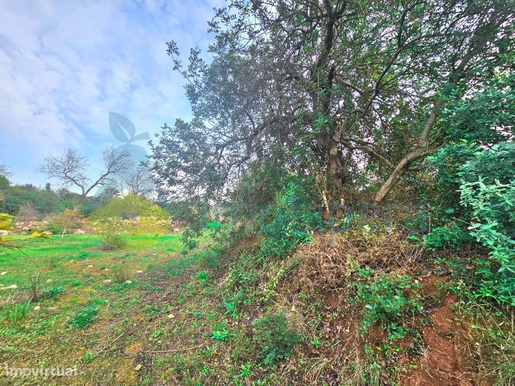 Algarve, Messines: Terreno rústico na evasão do campo, ideal para a... - Grande imagem: 4/12
