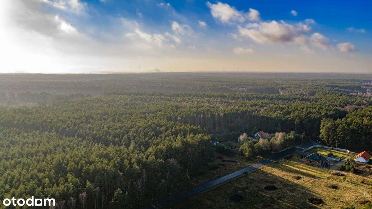 Duża Działka Budowlana Z Prywatnym Lasem-0