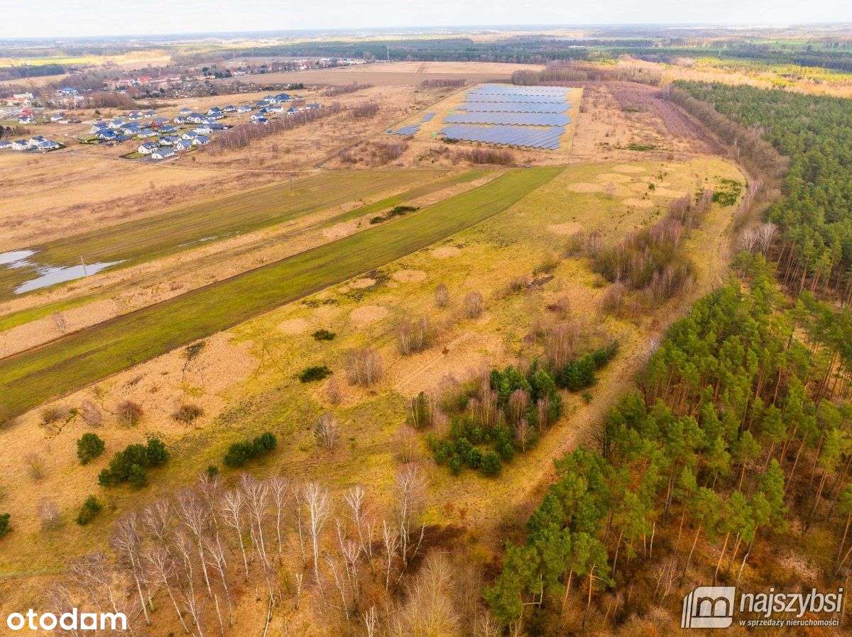 Nowe Kulice - działka 4,13ha - Pełny obrazek: 5/16