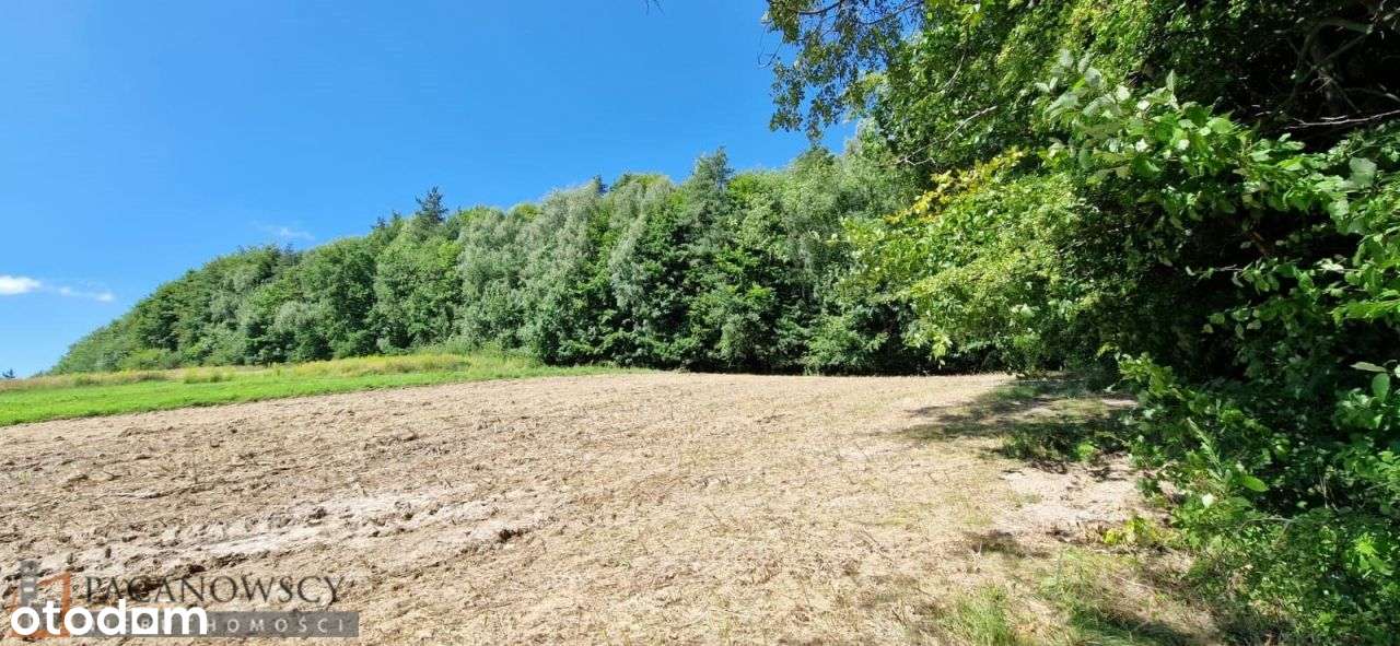 Działka, 2 100 m², Czajowice-8