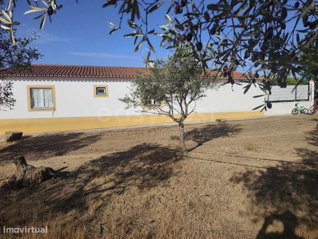 Moradia localizada em Faro do Alentejo, inserida num terreno com 31... - Grande imagem: 3/36