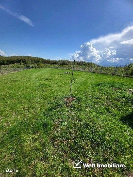 Teren extravilan 2000 mp, imprejmuit, panorama superba – Salicea (Cl - Imagine principală: 5/10