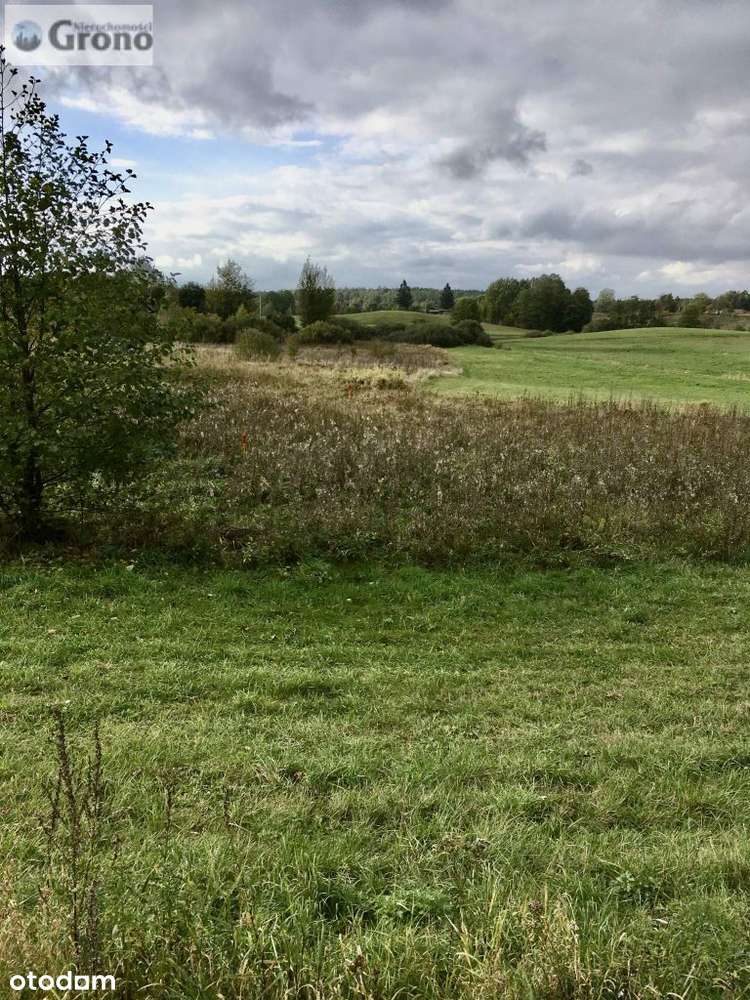 Działki Budowlane na Mazurach 4,2 ha okolice Jezio-3