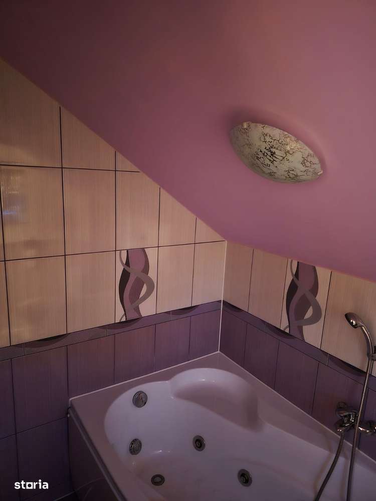 De vanzare Casa cu 3 camere si 2 parcele de teren comasate in Crai Nou-9