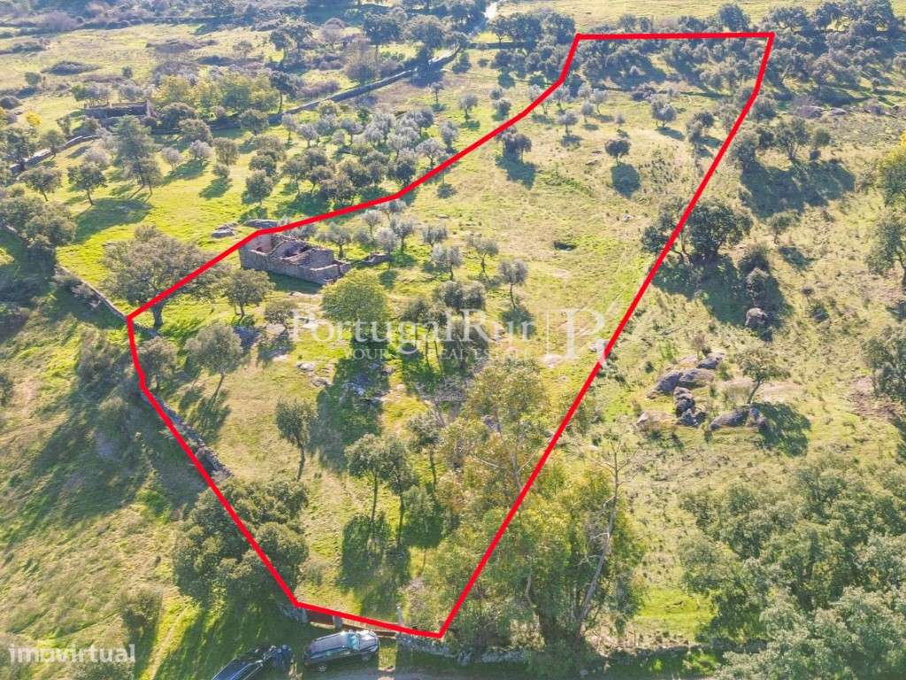 Quintinha com 1,2ha e ruína urbana em São Miguel Acha - Grande imagem: 4/28