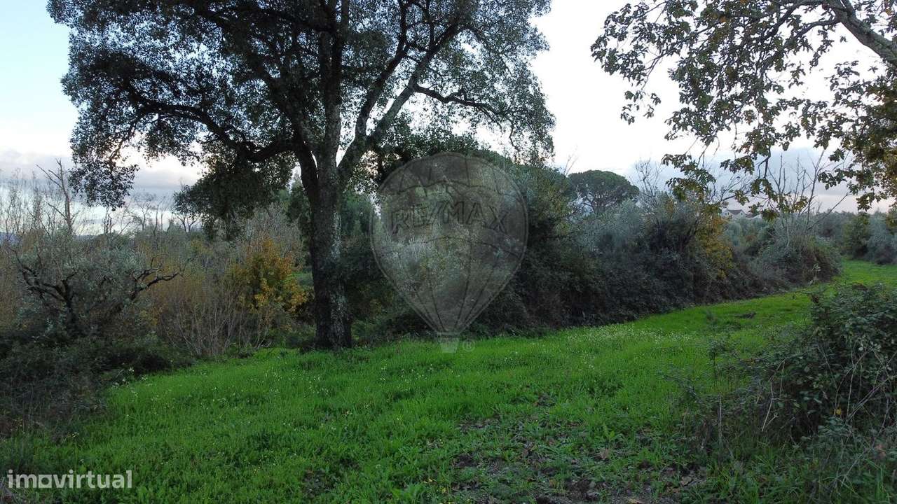 Terreno  para venda - Grande imagem: 3/7