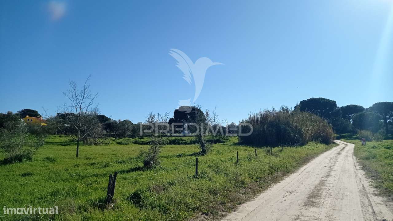 Lote p/ construção 4500 m2, Couço - Grande imagem: 1/3