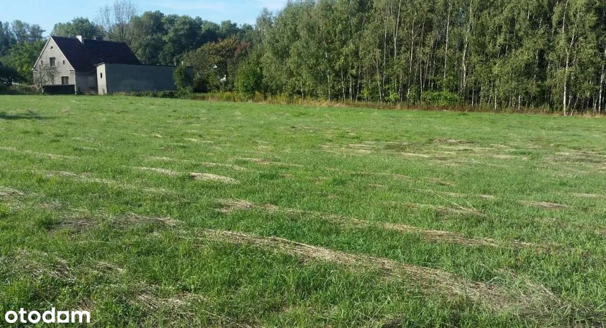 Budowlana | Projekt domu w cenie | Siatka | Media - Pełny obrazek: 2/4