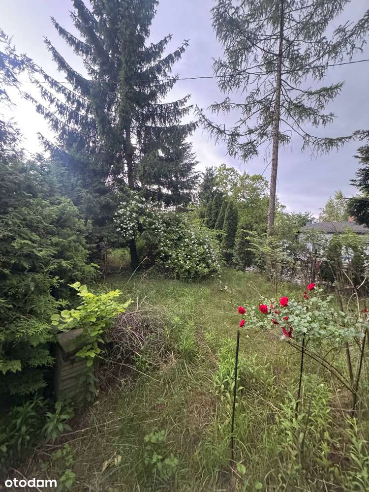 Działka, 970 m², Łódź - Pełny obrazek: 4/4