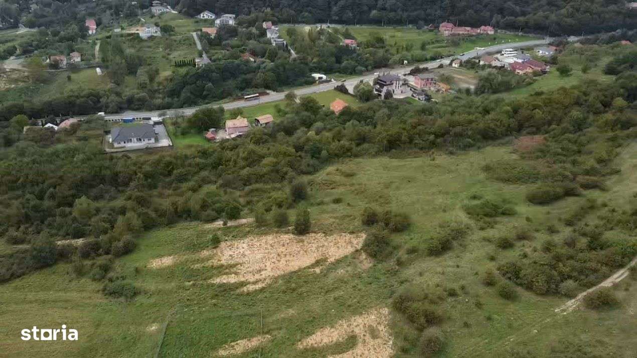 Teren investitie | termen lung | Feleacu 1000 mp - Imagine principală: 4/12