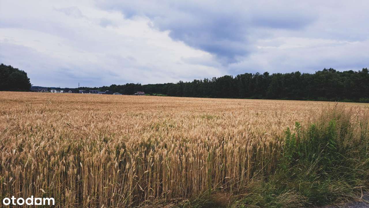 Orzesze Gardawice 1106 m2-7